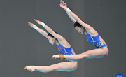 跳水世界杯总决赛中国队8金收官，广东女将3金1银闪耀赛场